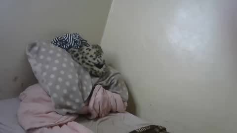 melly online show from 01-31-25, 11:13