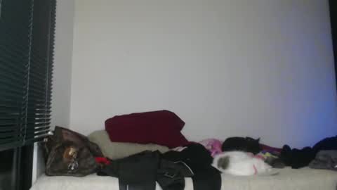 Nico online show from 01-02-25, 03:15