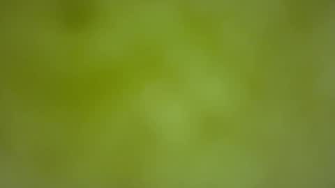 Snapshot of quinnxx chatting on 02-22-26, 06:35 quinnxx online show from 02-22-26, 06:35