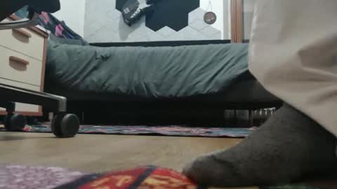 Snapshot of raccon68 chatting on 12-20-25, 07:32 Raccoon68 online show from 12-20-25, 07:32