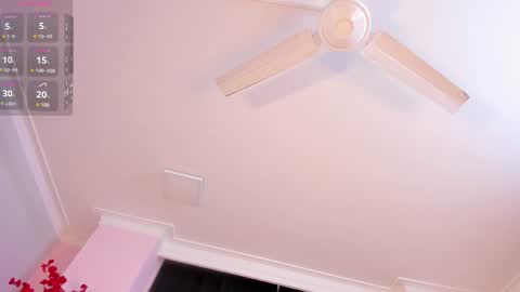 Rachel online show from 01-24-25, 11:37