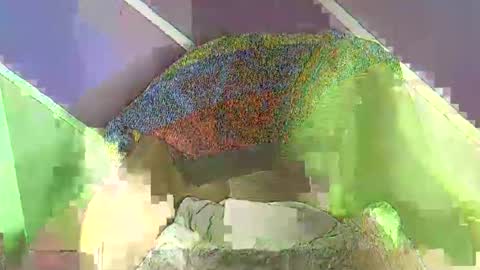 rainbow baby26 online show from 11-18-25, 07:18