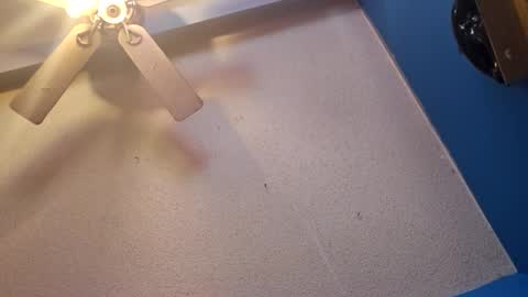 Randcandy77 online show from 11-11-25, 04:51