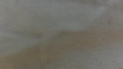 Snapshot of randytoy chatting on 06-29-26, 05:03 randytoy online show from 06-29-26, 05:03