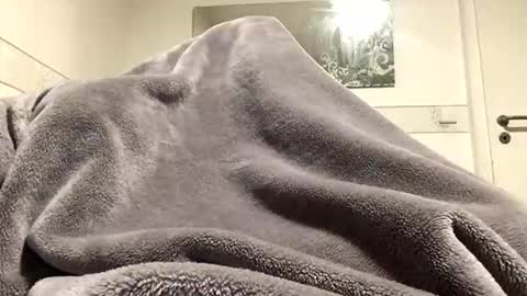 Snapshot of ranj00800 chatting on 12-18-25, 05:19 ranj00800 online show from 12-18-25, 05:19