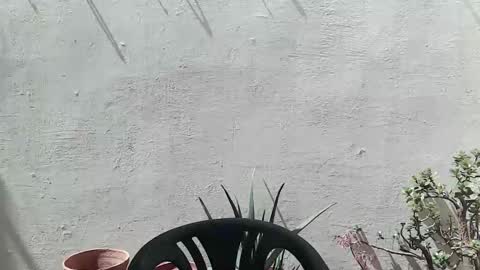 Ran online show from 04-25-26, 11:02