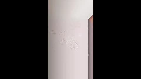 rara_molly online show from 02-09-26, 07:23