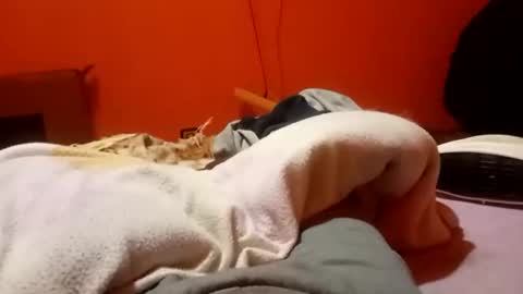 Snapshot of raulillo19842 chatting on 02-19-26, 12:28 raulillo19842 online show from 02-19-26, 12:28