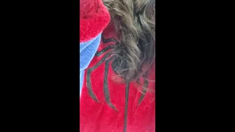   online show from 05-31-26, 05:26