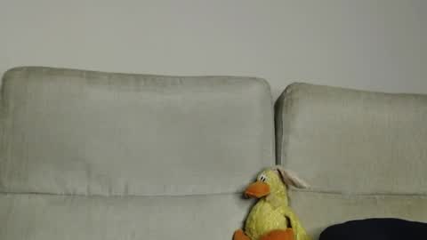 Ray  online show from 04-05-26, 11:40