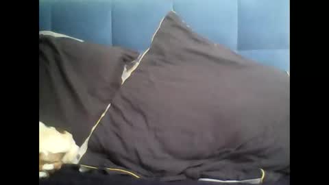 Snapshot of rayday_ chatting on 03-09-25, 02:10 rayday_ online show from 03-09-25, 02:10