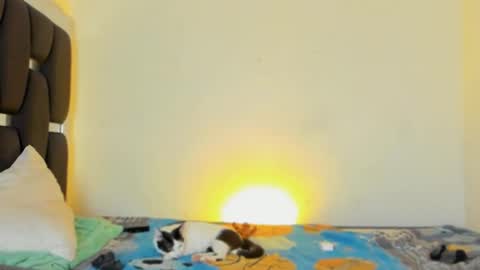 Snapshot of raydevil_ chatting on 11-05-25, 04:40 Rayn online show from 11-05-25, 04:40