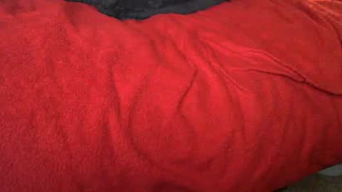 raymondo1964 online show from 11-12-25, 11:47