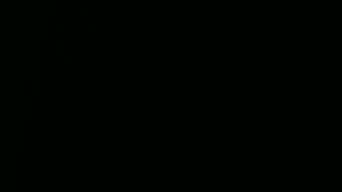 Ray online show from 12-29-24, 03:57