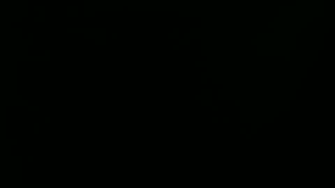 Ray online show from 01-01-25, 09:20