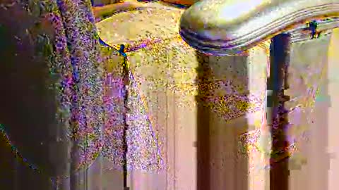 rb69er905364 online show from 09-10-25, 06:30