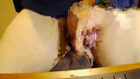 rb69er905364 online show from 11-17-25, 10:04