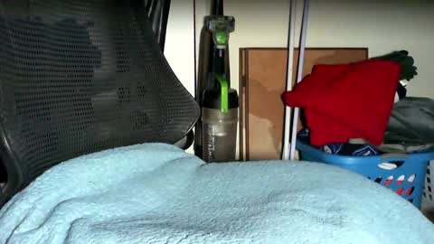 re dick online show from 10-22-25, 02:45