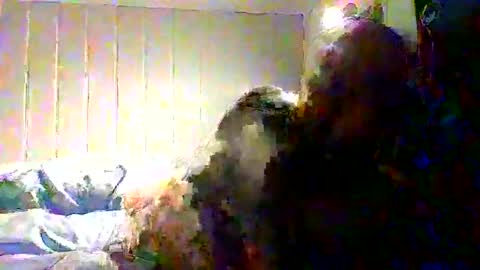 Snapshot of real_viking1 chatting on 11-22-25, 08:13 real_viking1 online show from 11-22-25, 08:13