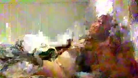 real_viking1 online show from 02-07-26, 05:49