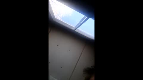 realisararebreed online show from 12-21-25, 05:42