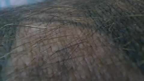 realrubpirate online show from 10-19-25, 09:21