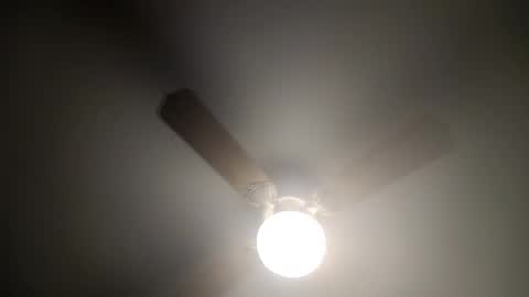 Snapshot of red24devils chatting on 02-14-25, 04:26 red24devils online show from 02-14-25, 04:26