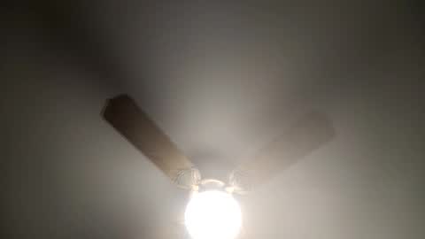 Snapshot of red24devils chatting on 03-12-25, 05:13 red24devils online show from 03-12-25, 05:13