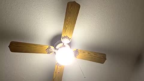 Snapshot of red24devils chatting on 09-12-25, 12:11 red24devils online show from 09-12-25, 12:11