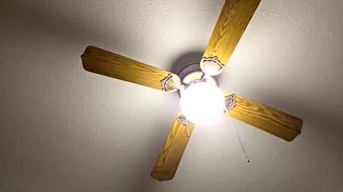 Snapshot of red24devils chatting on 09-22-25, 06:59 red24devils online show from 09-22-25, 06:59