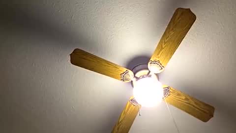 Snapshot of red24devils chatting on 10-26-25, 05:41 red24devils online show from 10-26-25, 05:41