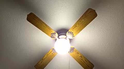 Snapshot of red24devils chatting on 11-21-25, 01:04 red24devils online show from 11-21-25, 01:04