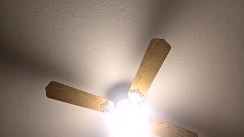 Snapshot of red24devils chatting on 12-03-25, 05:04 red24devils online show from 12-03-25, 05:04