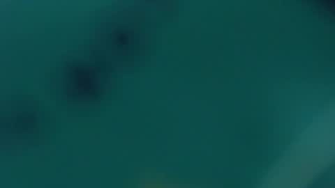 Snapshot of redhot_chilipeppers chatting on 02-20-25, 09:55 Lupe online show from 02-20-25, 09:55