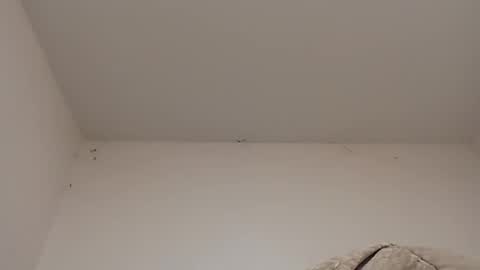 Snapshot of rednicedick chatting on 01-22-25, 06:42 rednicedick online show from 01-22-25, 06:42