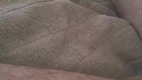 redwhiteblue_24 online show from 04-23-26, 10:45