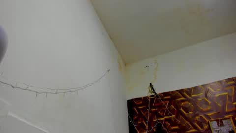 reed_kitty online show from 12-15-25, 12:42