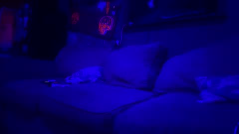 Snapshot of reeferleefer chatting on 03-10-26, 01:54 Lee online show from 03-10-26, 01:54