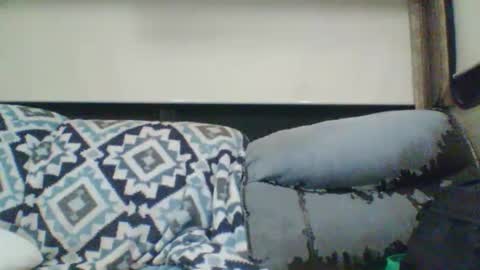 reese960384 online show from 01-11-26, 07:35