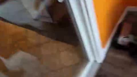 reggie007007 online show from 01-07-26, 02:08