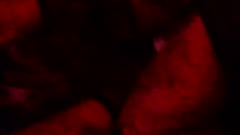 Snapshot of renuetto chatting on 10-13-25, 05:40 renuetto online show from 10-13-25, 05:40