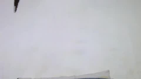 Snapshot of retlam37 chatting on 05-13-26, 04:43 Walter online show from 05-13-26, 04:43