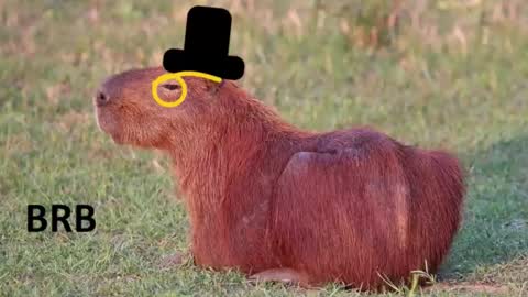 Chris online show from 01-16-26, 01:31