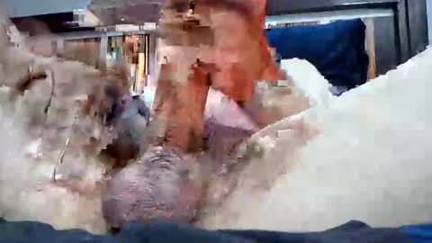 Rexwanker4everyone online show from 03-06-25, 02:09