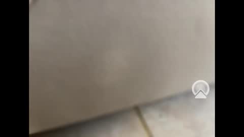 rgoggler2 online show from 01-28-25, 01:59