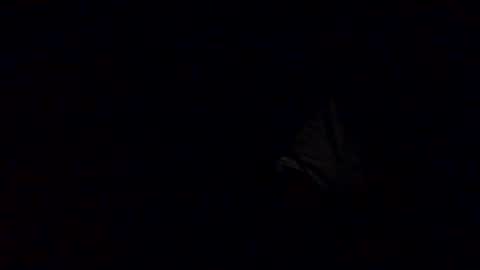 Snapshot of richardsone1 chatting on 10-12-25, 03:27 Babu online show from 10-12-25, 03:27