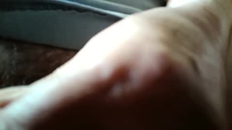 Always crusing cams online show from 04-07-26, 05:57