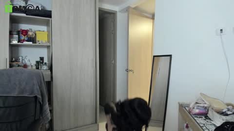 Snapshot of rickydicot_13 chatting on 09-27-25, 02:05 RickyDicot 13 online show from 09-27-25, 02:05