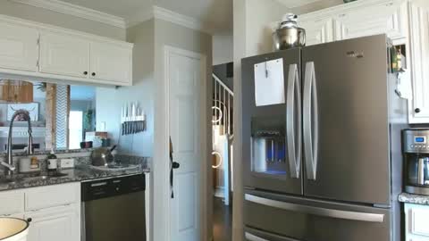 riley depp online show from 02-17-25, 10:36