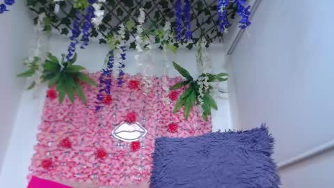 Snapshot of risitos_de_oro_ chatting on 04-29-26, 09:21 Risitos De Oro online show from 04-29-26, 09:21